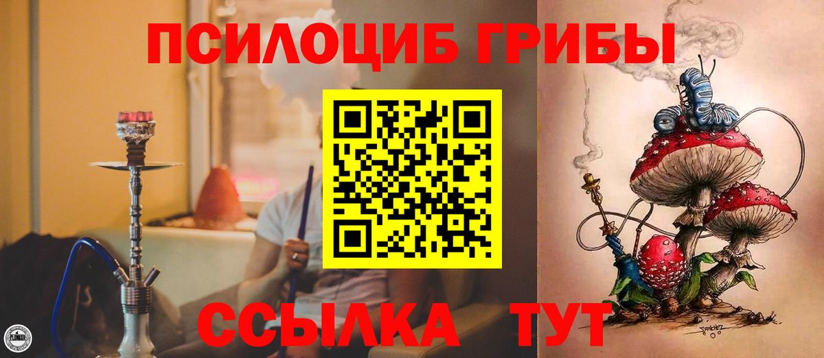 Семилуки  Псилоцибиновые грибы прущие грибы  Галлюциногенные грибы GOLDEN TEACHER  что такое   Вход с VPN 